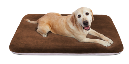 Dog Sleeping Mattress Pad