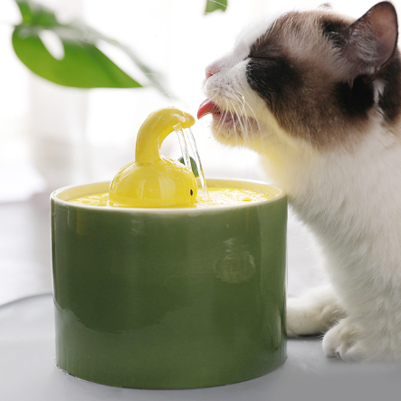 Ceramics Pet Water Dispenser Electric USB