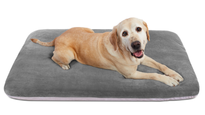 Dog Sleeping Mattress Pad