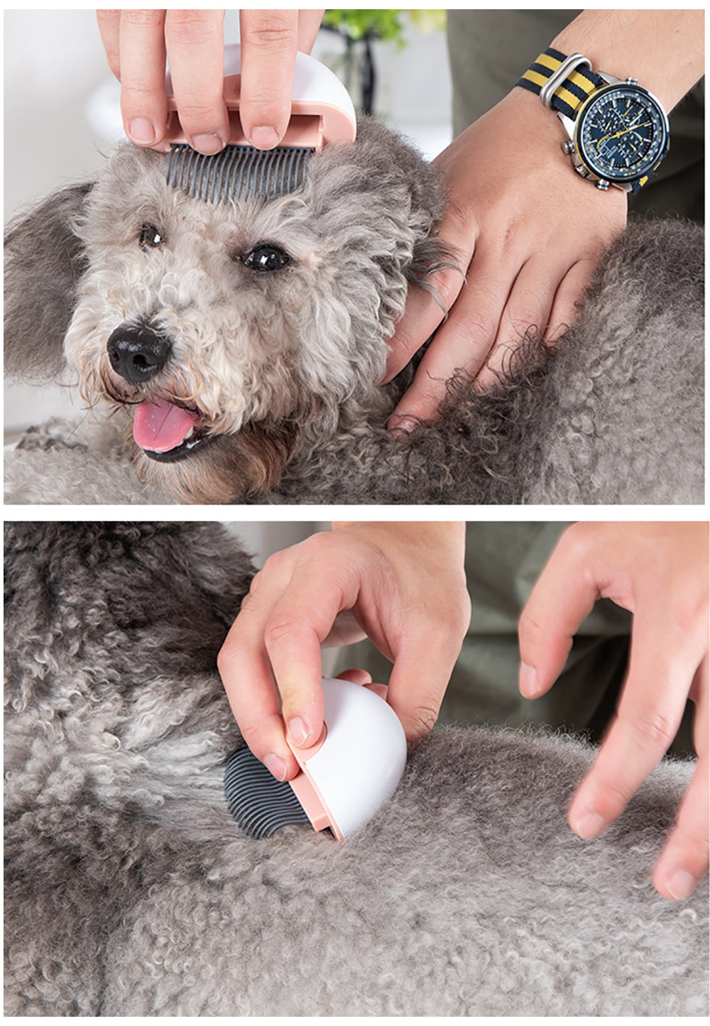 Cat & dog Hair Brush