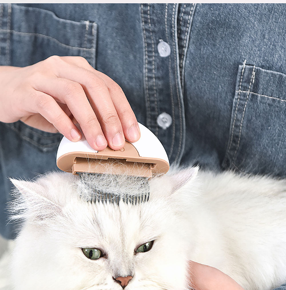 Cat & dog Hair Brush