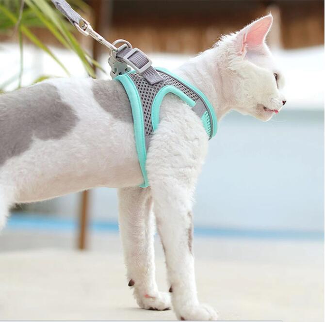 New Cat Harness Leash Set Adjustable Kitten Collar Vest