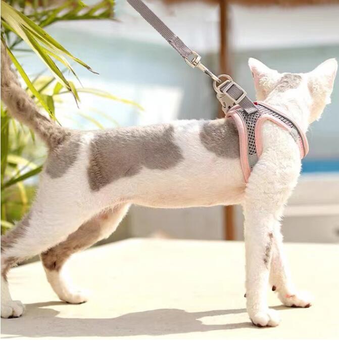 New Cat Harness Leash Set Adjustable Kitten Collar Vest